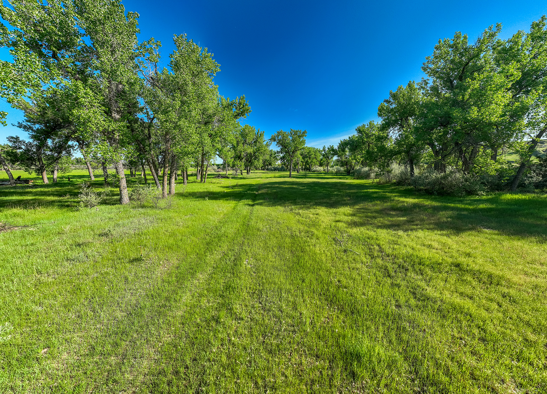 Dudis Farm property picture 30 of 34