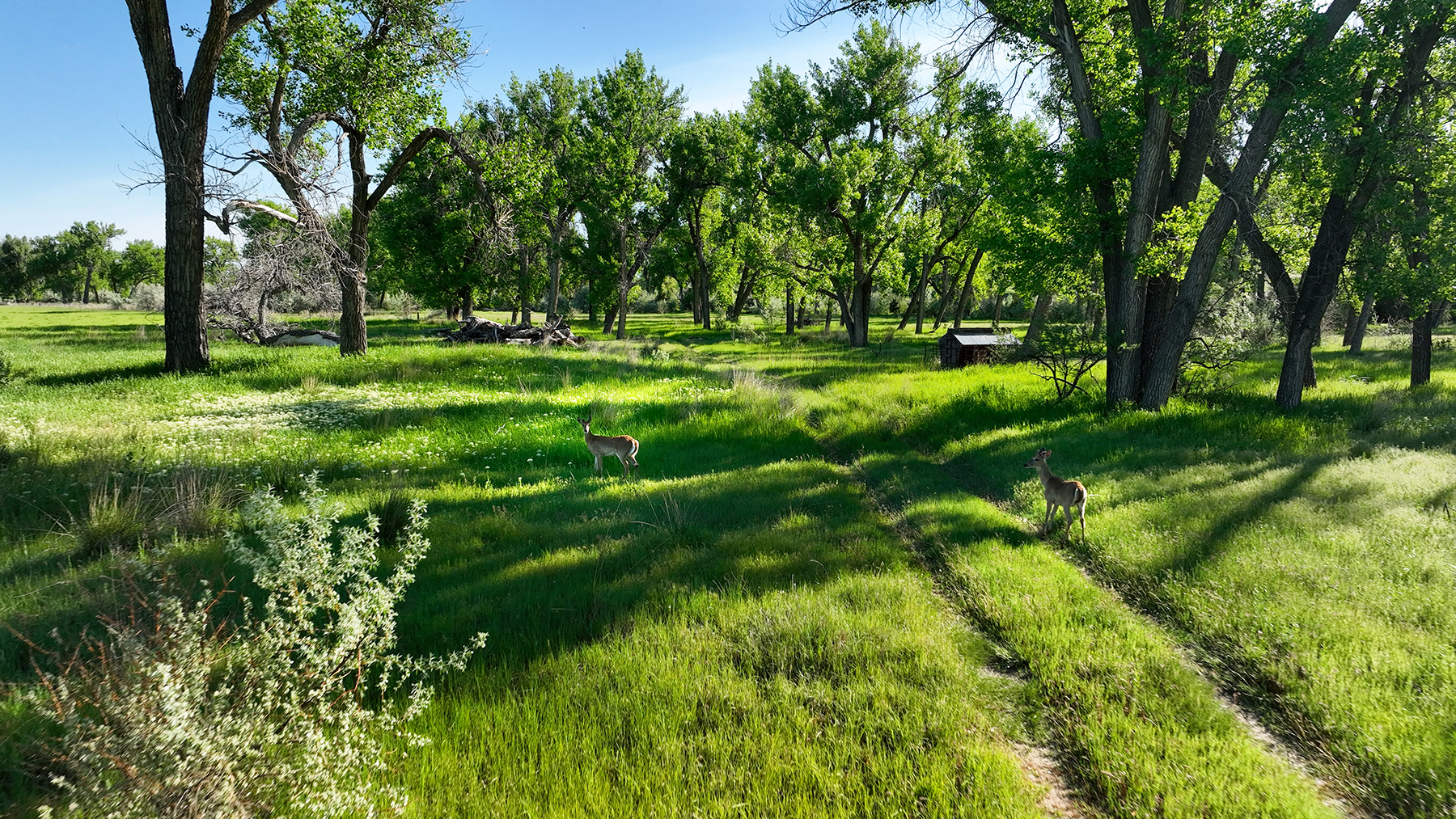 Dudis Farm property picture 32 of 34