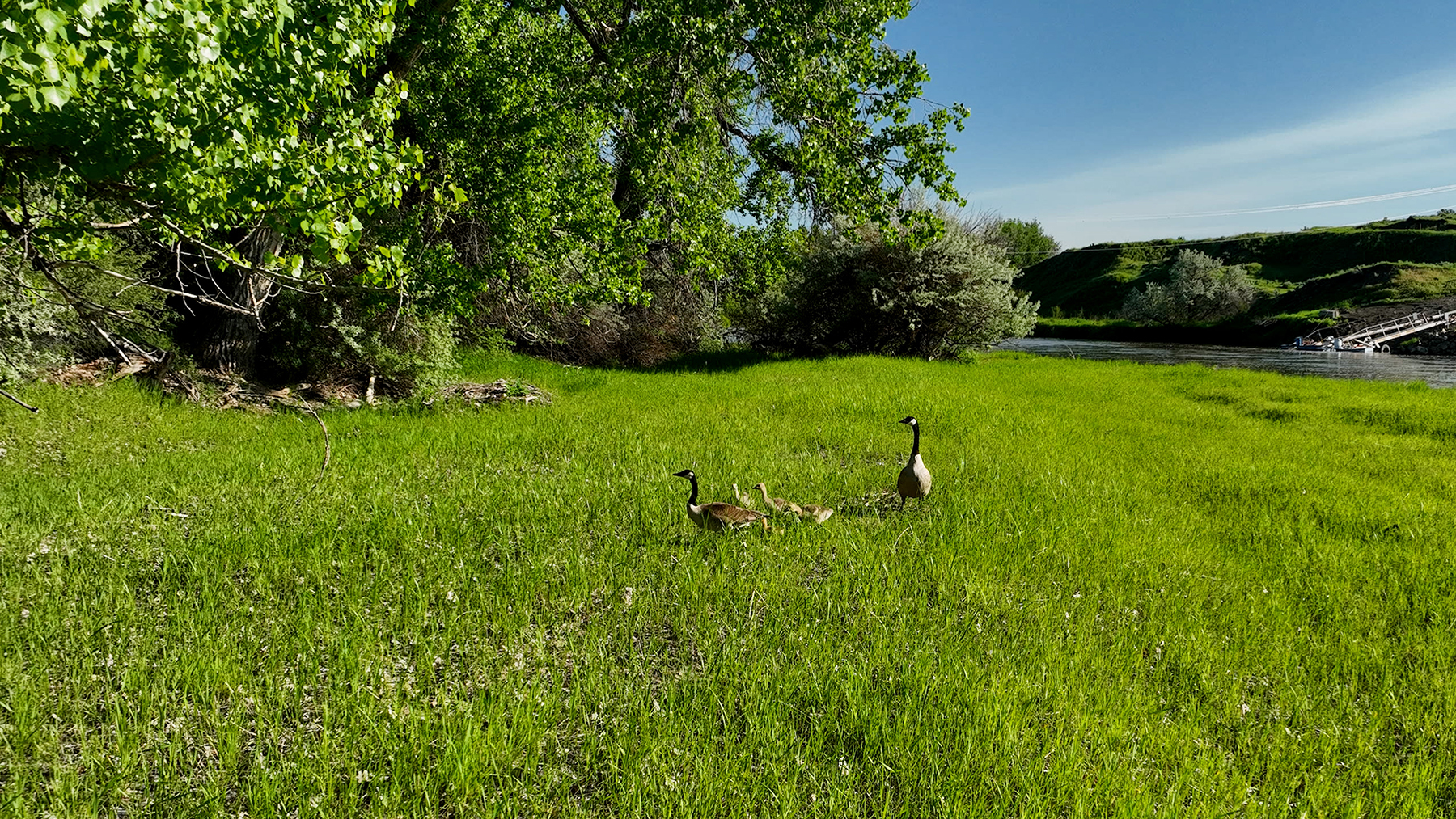 Dudis Farm property picture 34 of 34