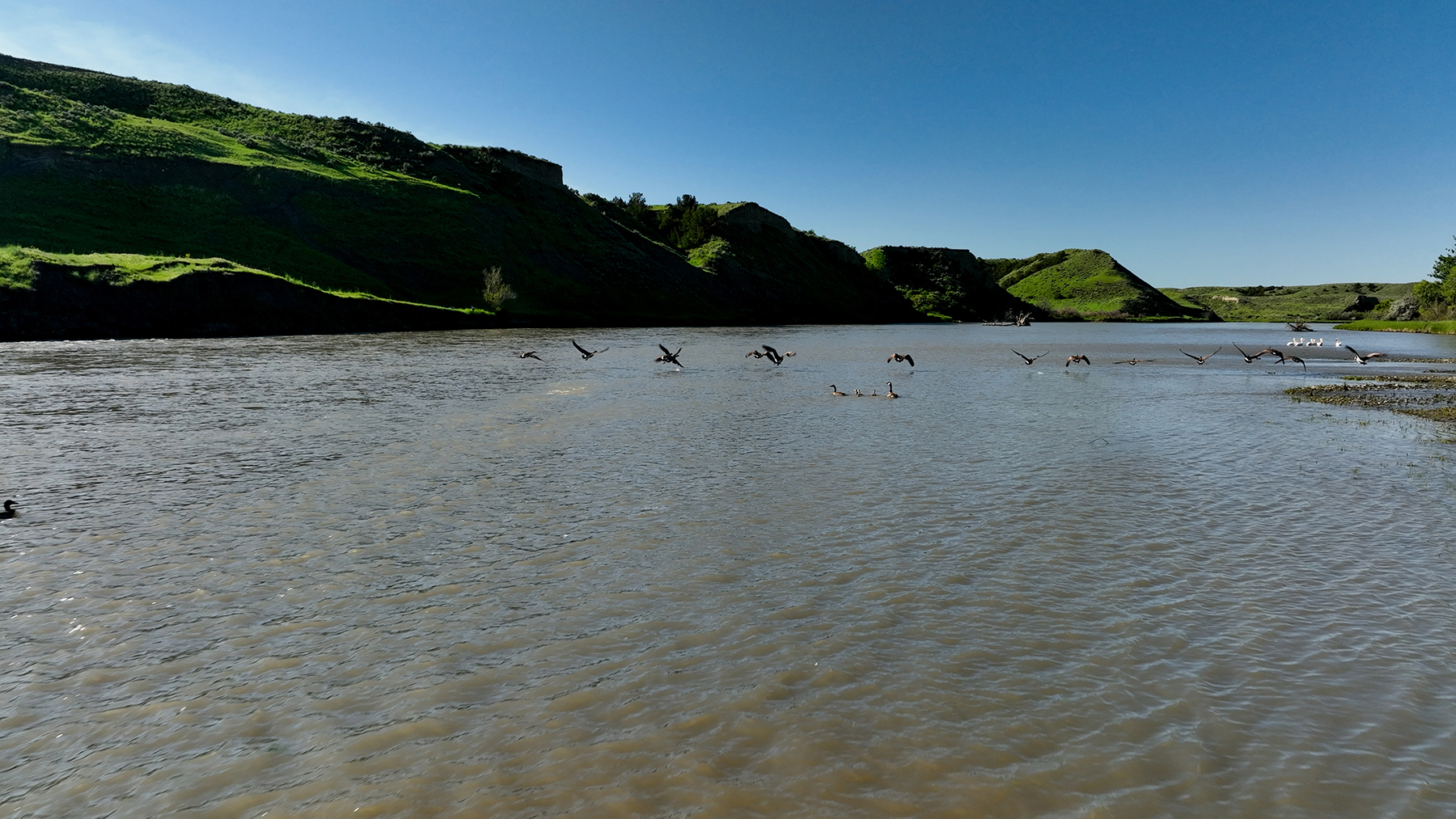 Dudis Farm property picture 17 of 34