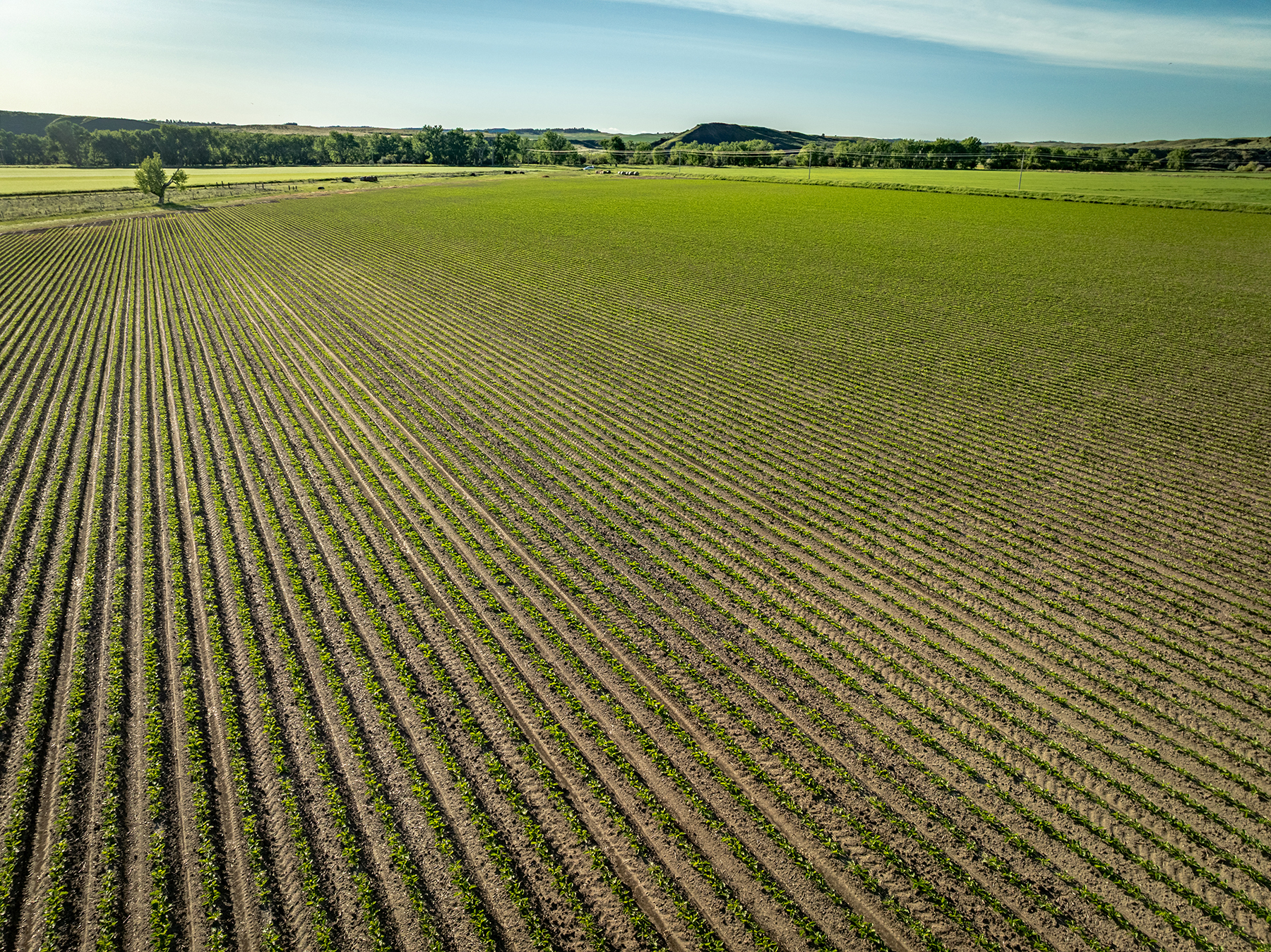 Dudis Farm property picture 26 of 34