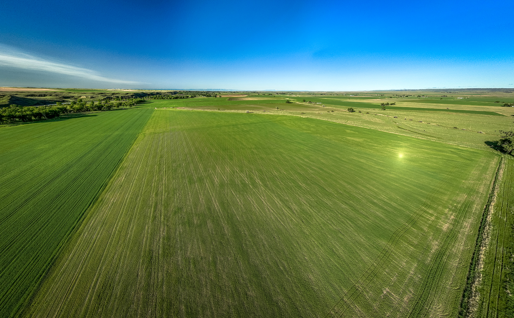 Dudis Farm property picture 25 of 34