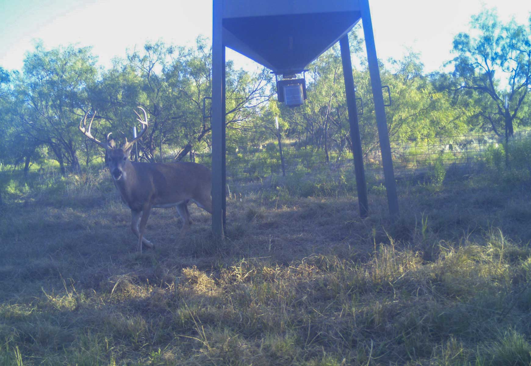 La Mariposa Ranch property picture 31 of 94