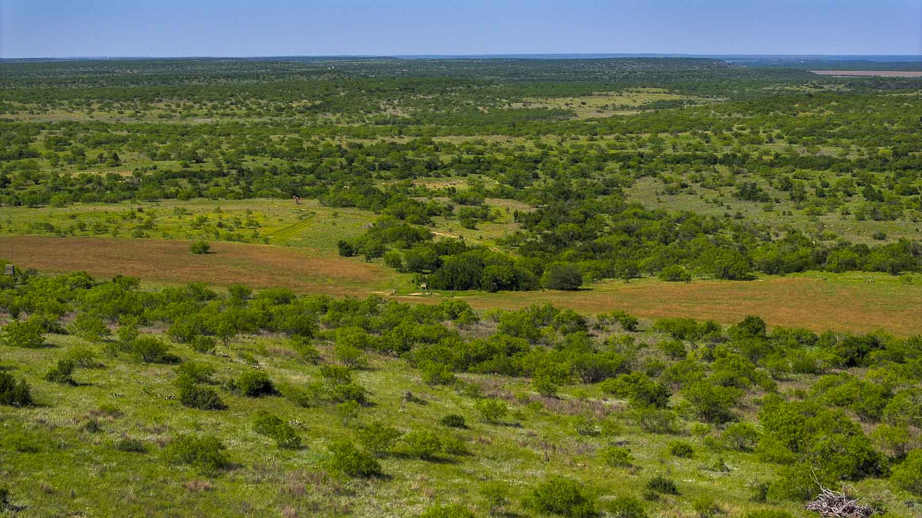 La Mariposa Ranch property picture 65 of 94