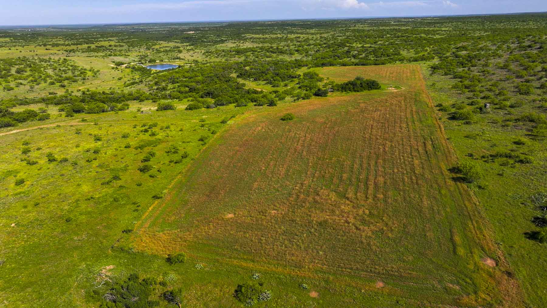 La Mariposa Ranch property picture 15 of 94