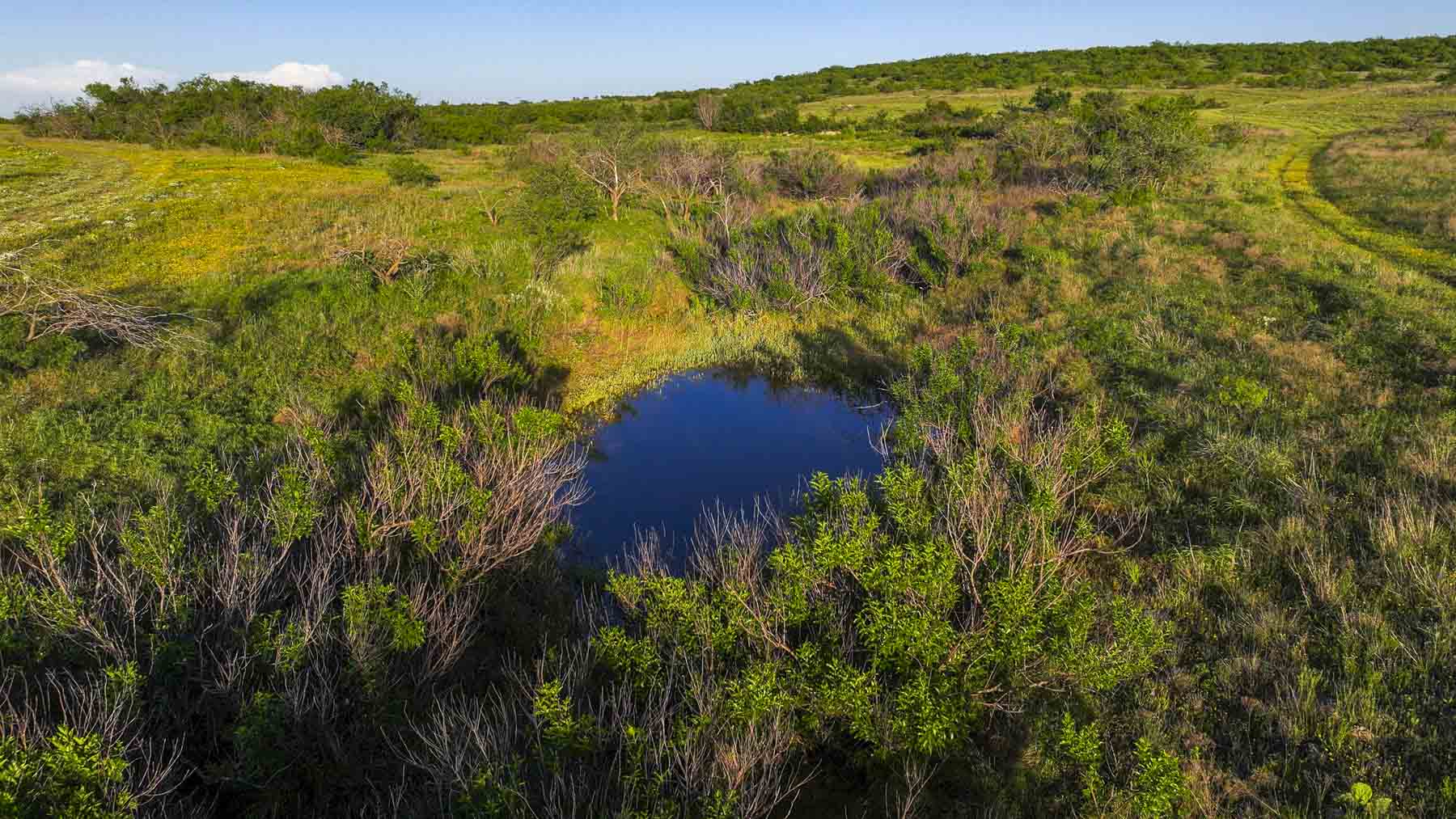 La Mariposa Ranch property picture 71 of 94