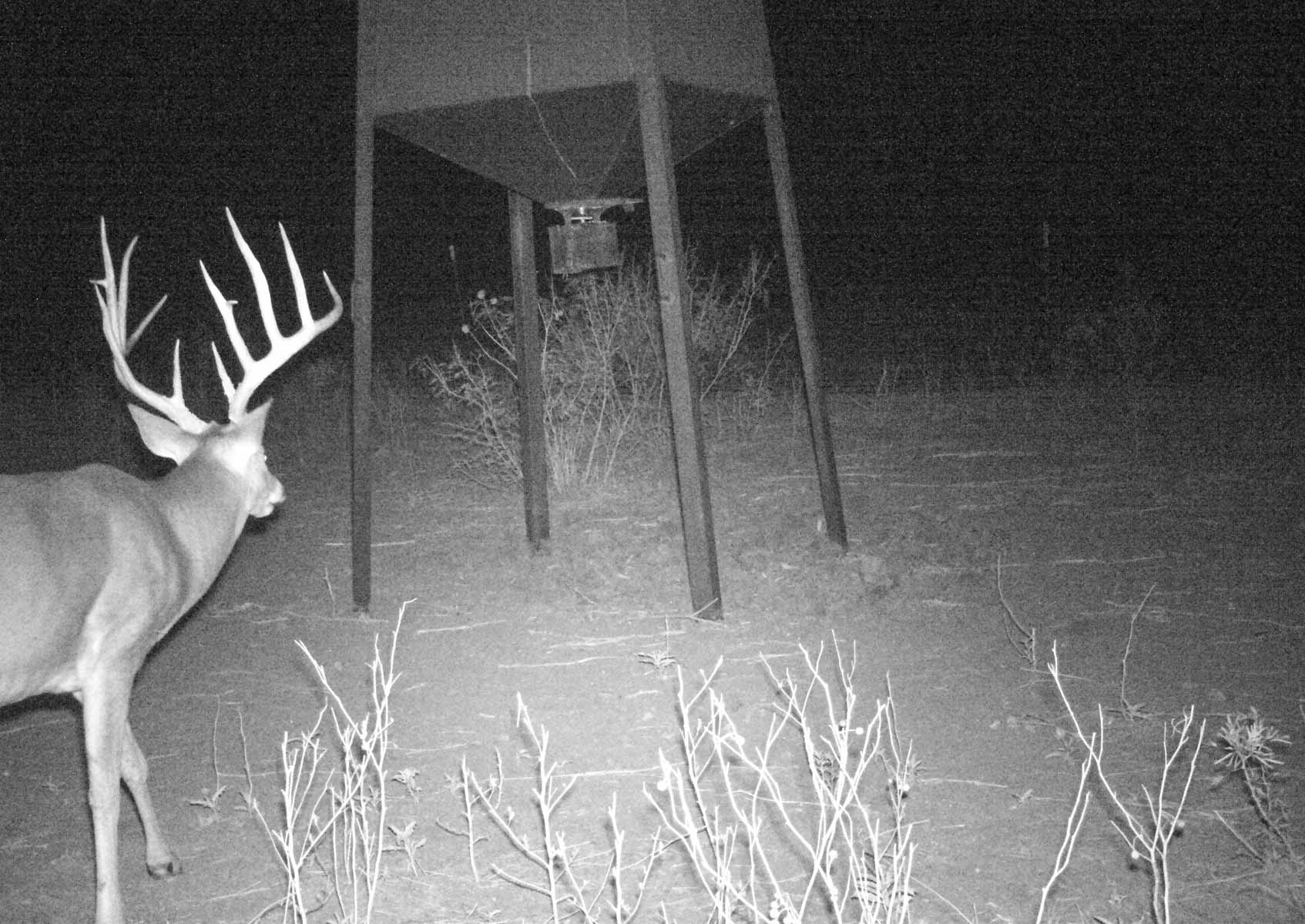 La Mariposa Ranch property picture 27 of 94