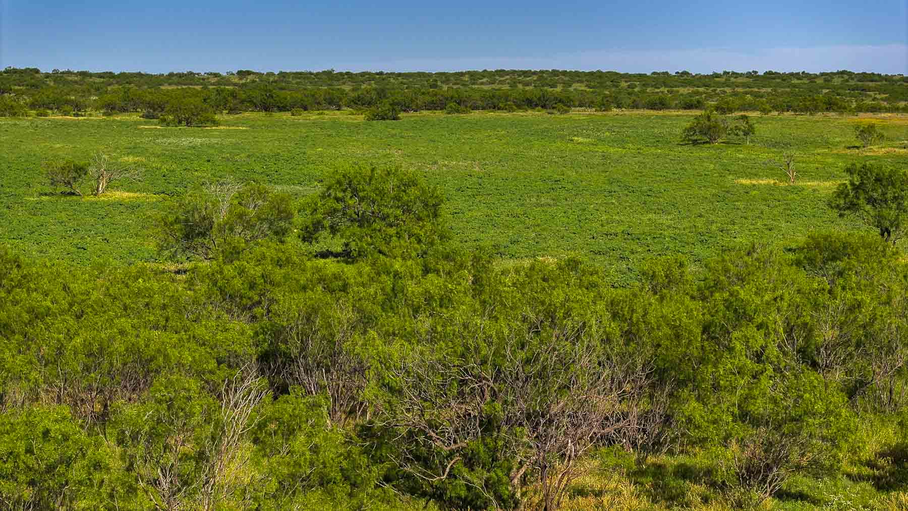 La Mariposa Ranch property picture 11 of 94