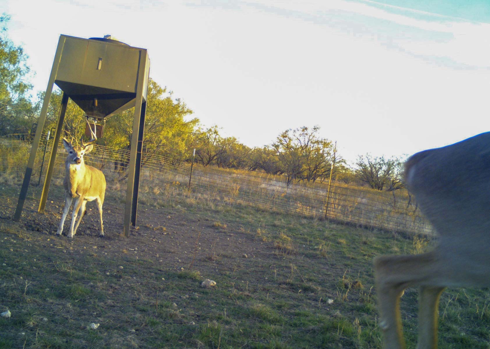 La Mariposa Ranch property picture 34 of 94