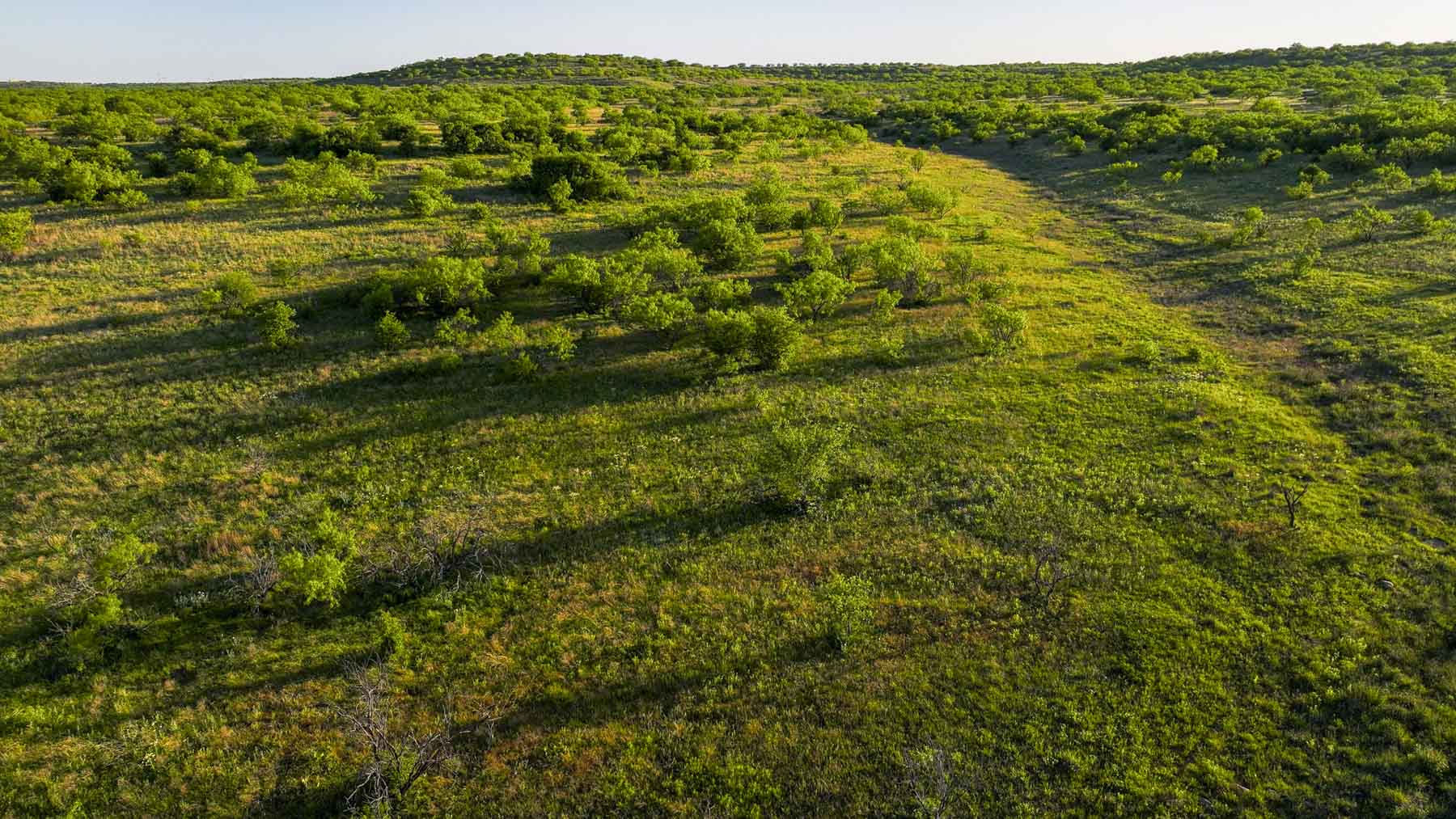 La Mariposa Ranch property picture 87 of 94