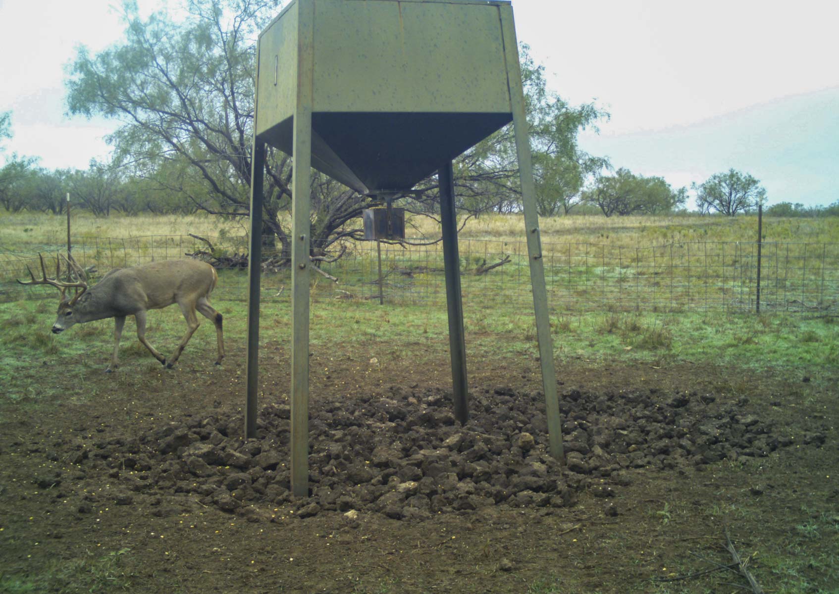 La Mariposa Ranch property picture 39 of 94