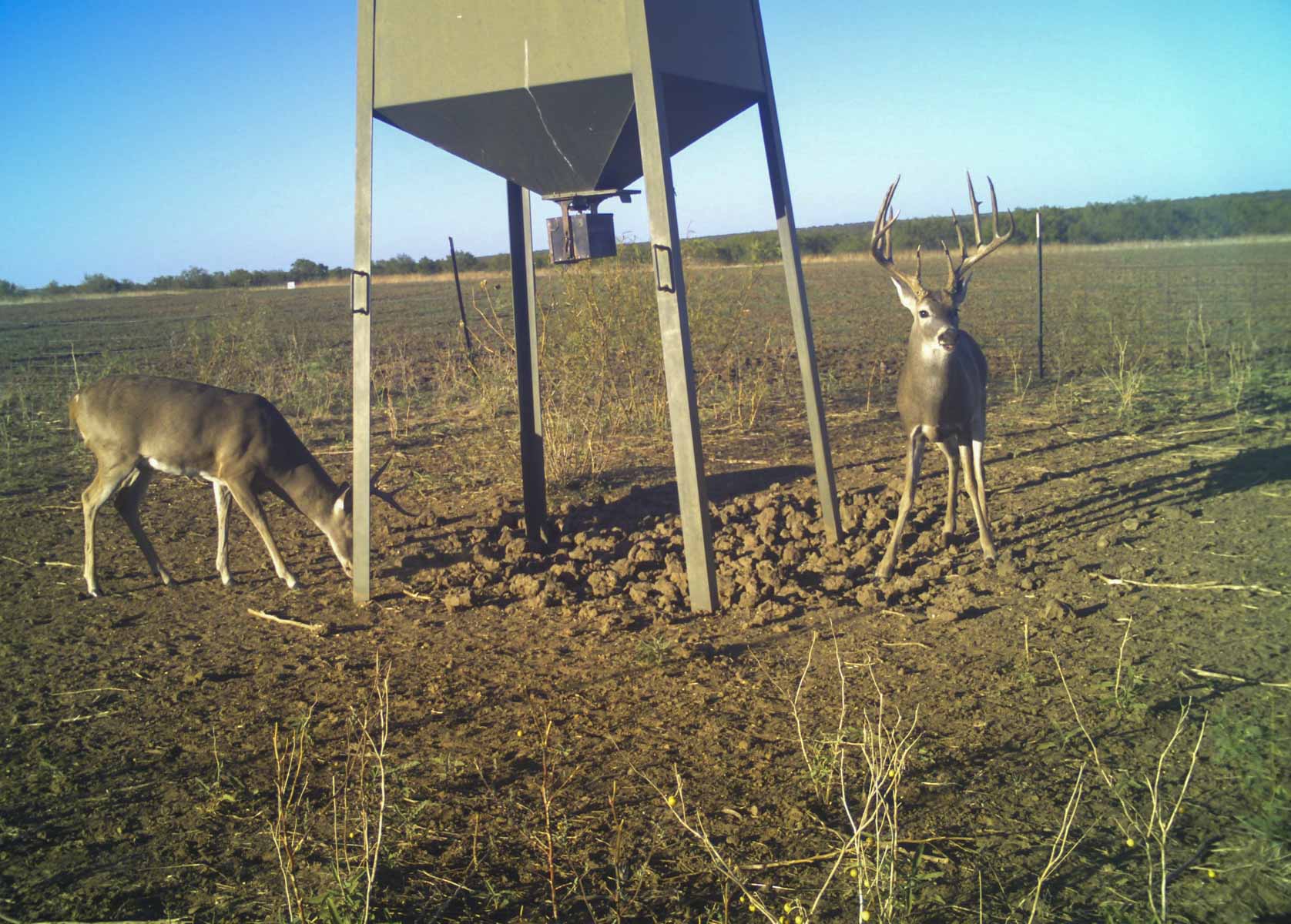 La Mariposa Ranch property picture 33 of 94