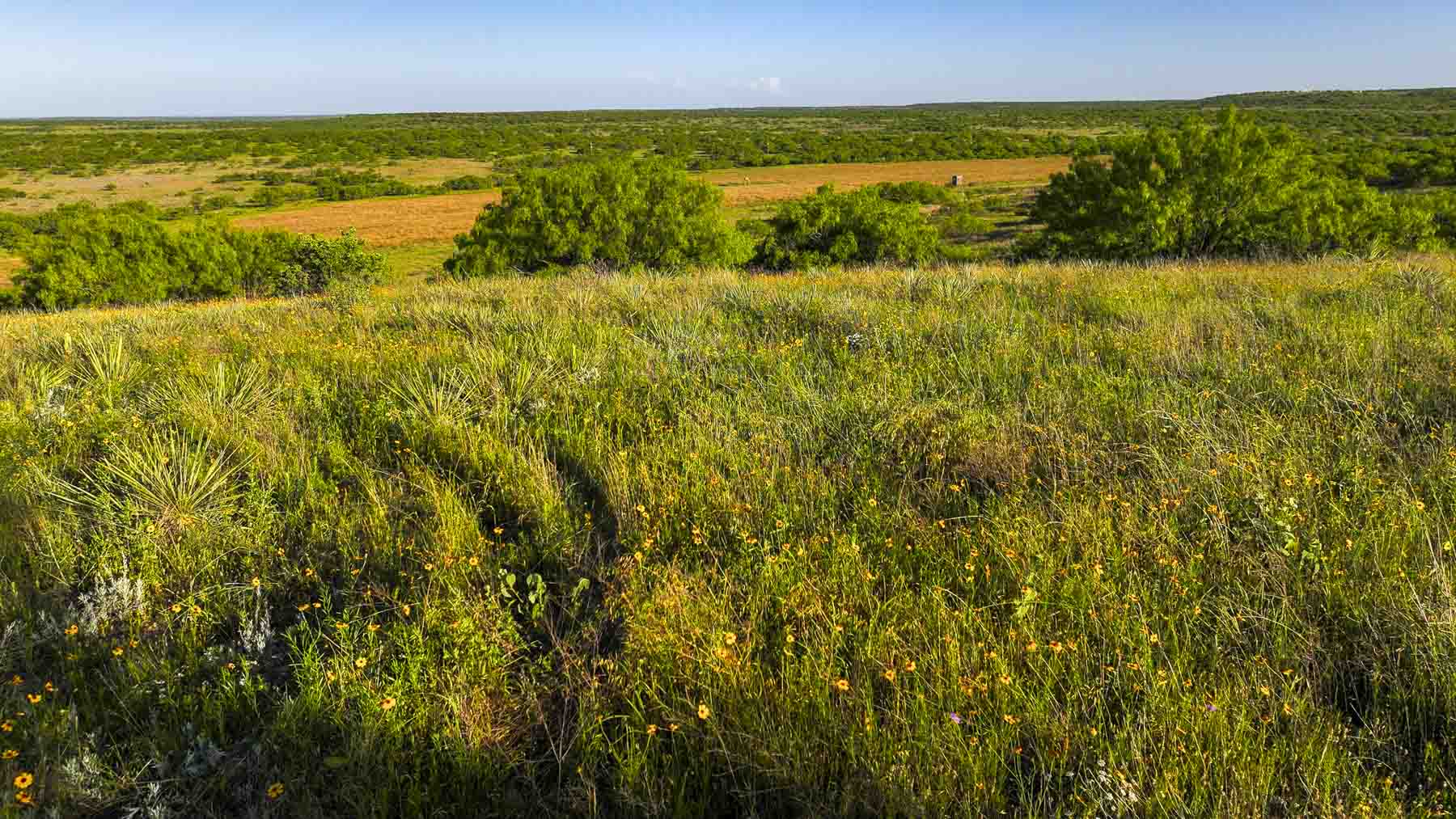 La Mariposa Ranch property picture 91 of 94