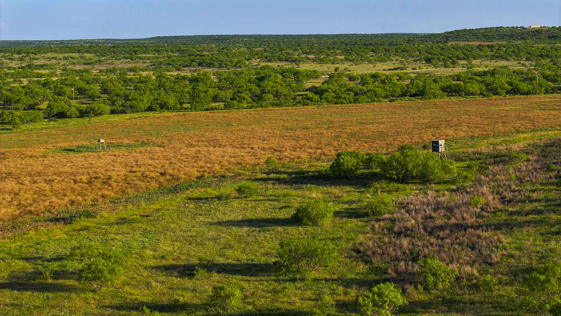 La Mariposa Ranch property picture 4 of 94