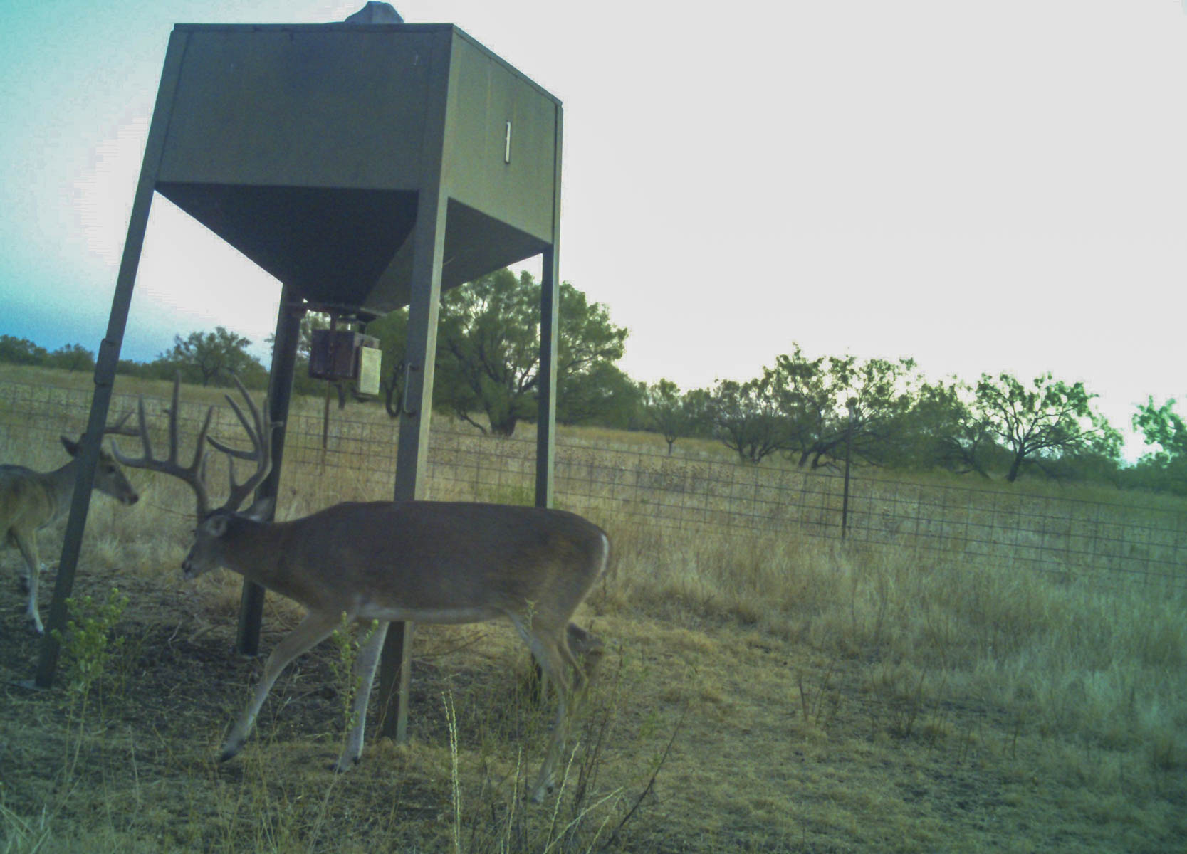 La Mariposa Ranch property picture 26 of 94