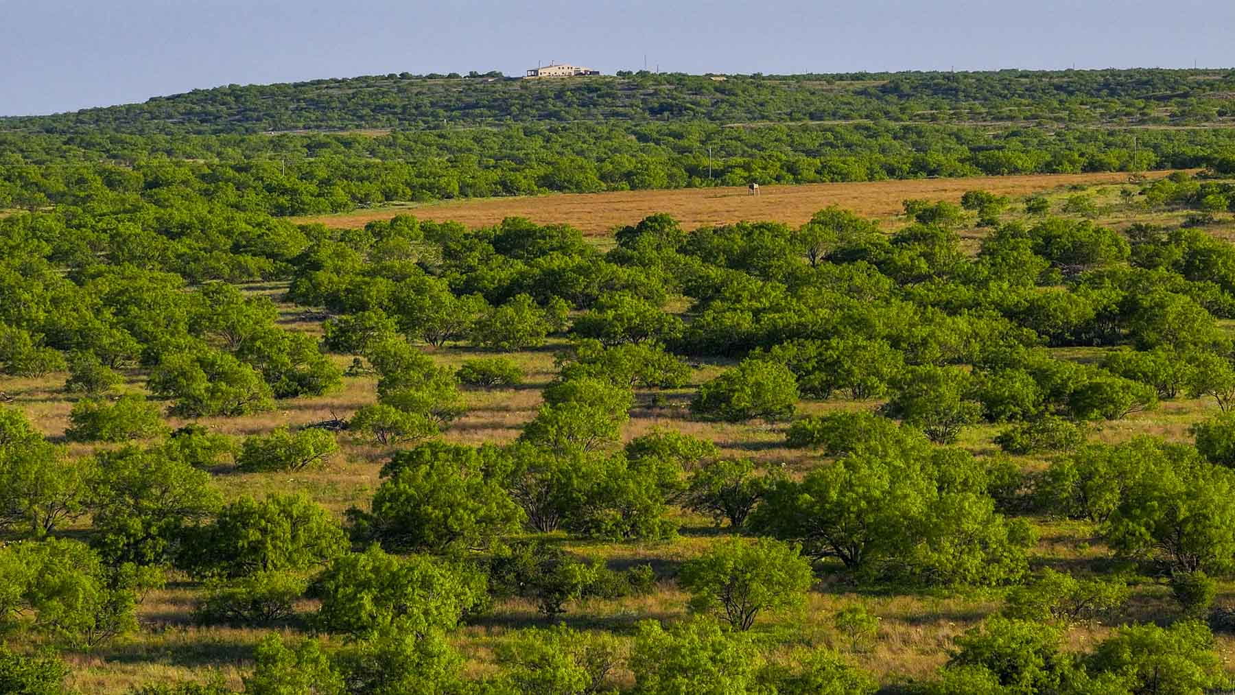 La Mariposa Ranch property picture 3 of 94