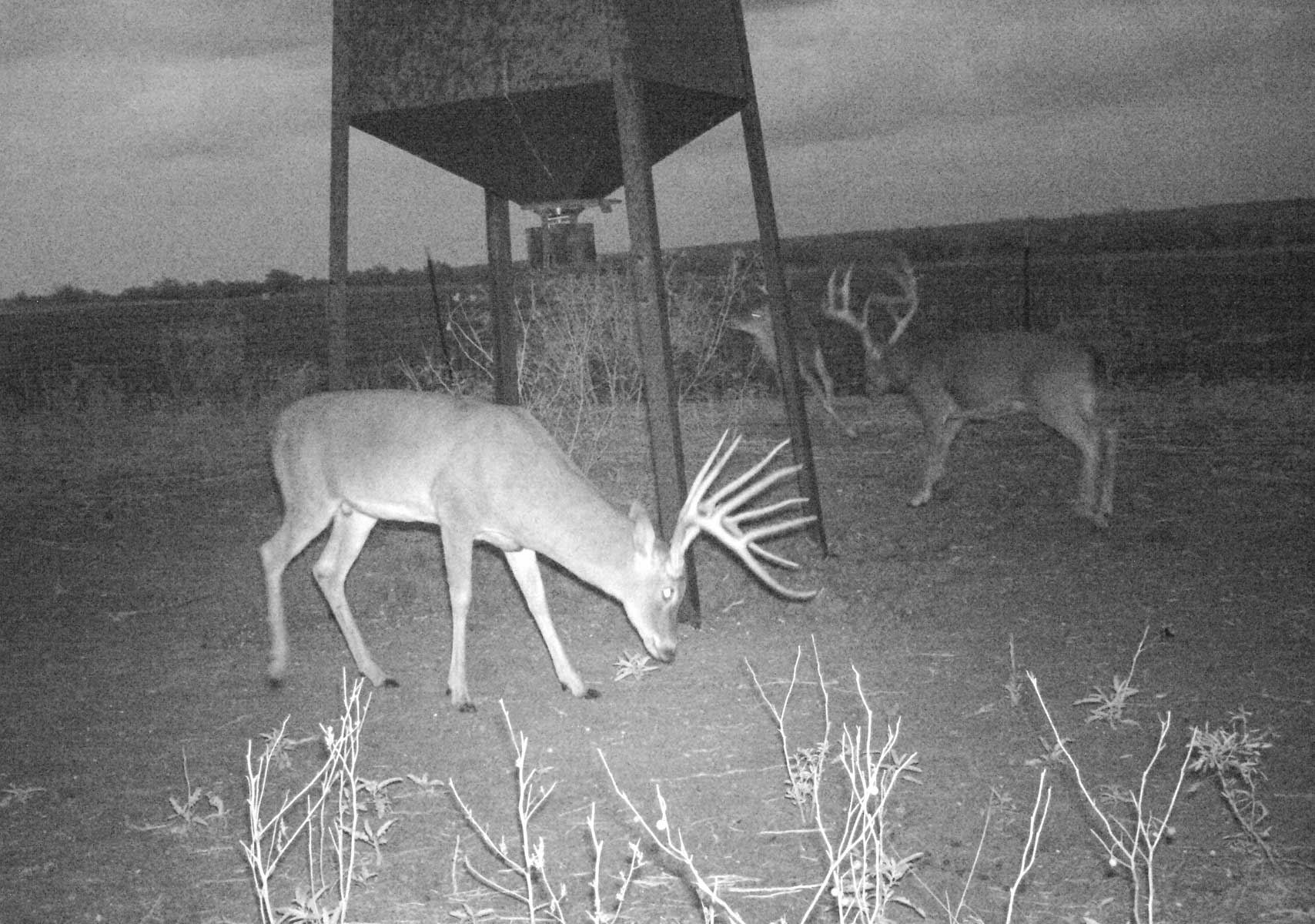 La Mariposa Ranch property picture 37 of 94