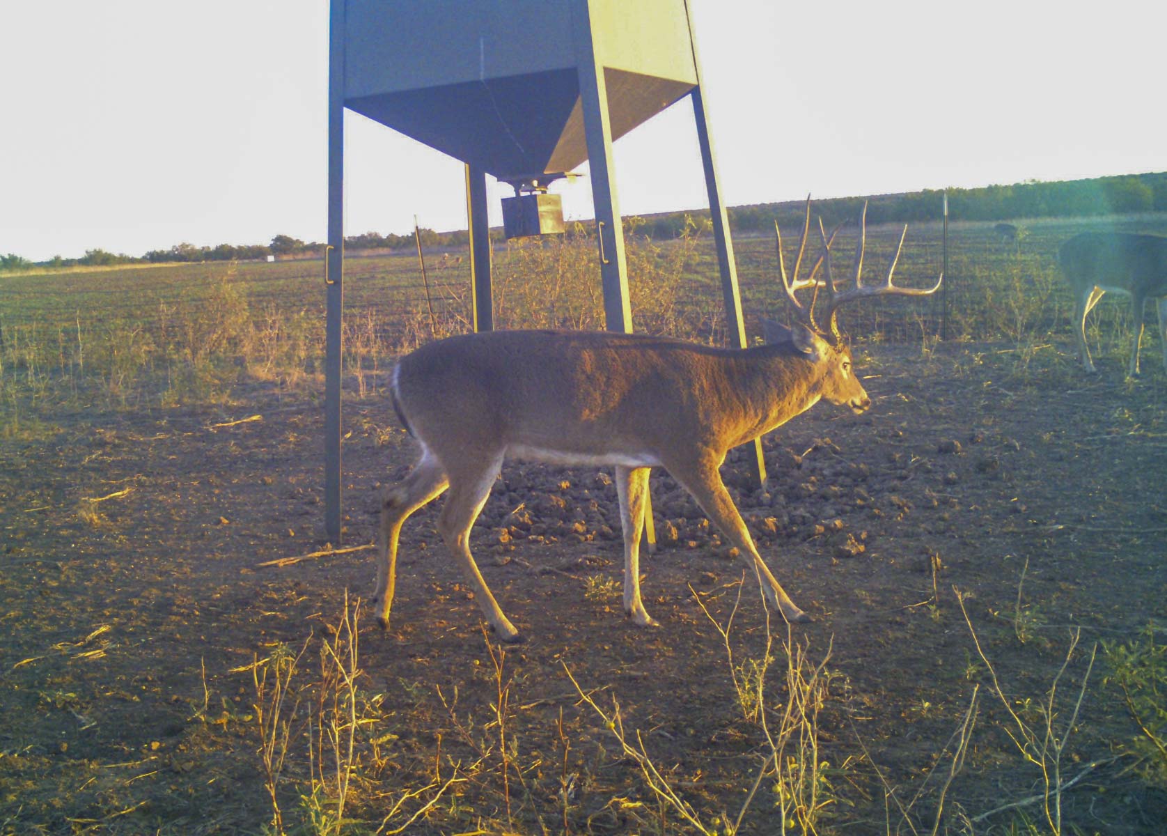 La Mariposa Ranch property picture 30 of 94