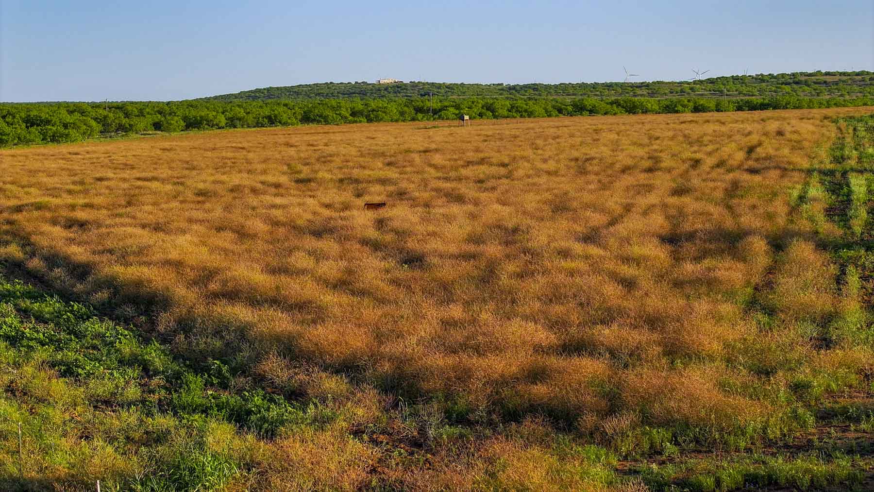 La Mariposa Ranch property picture 63 of 94
