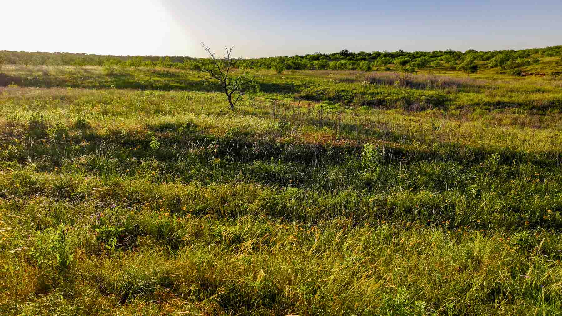 La Mariposa Ranch property picture 57 of 94