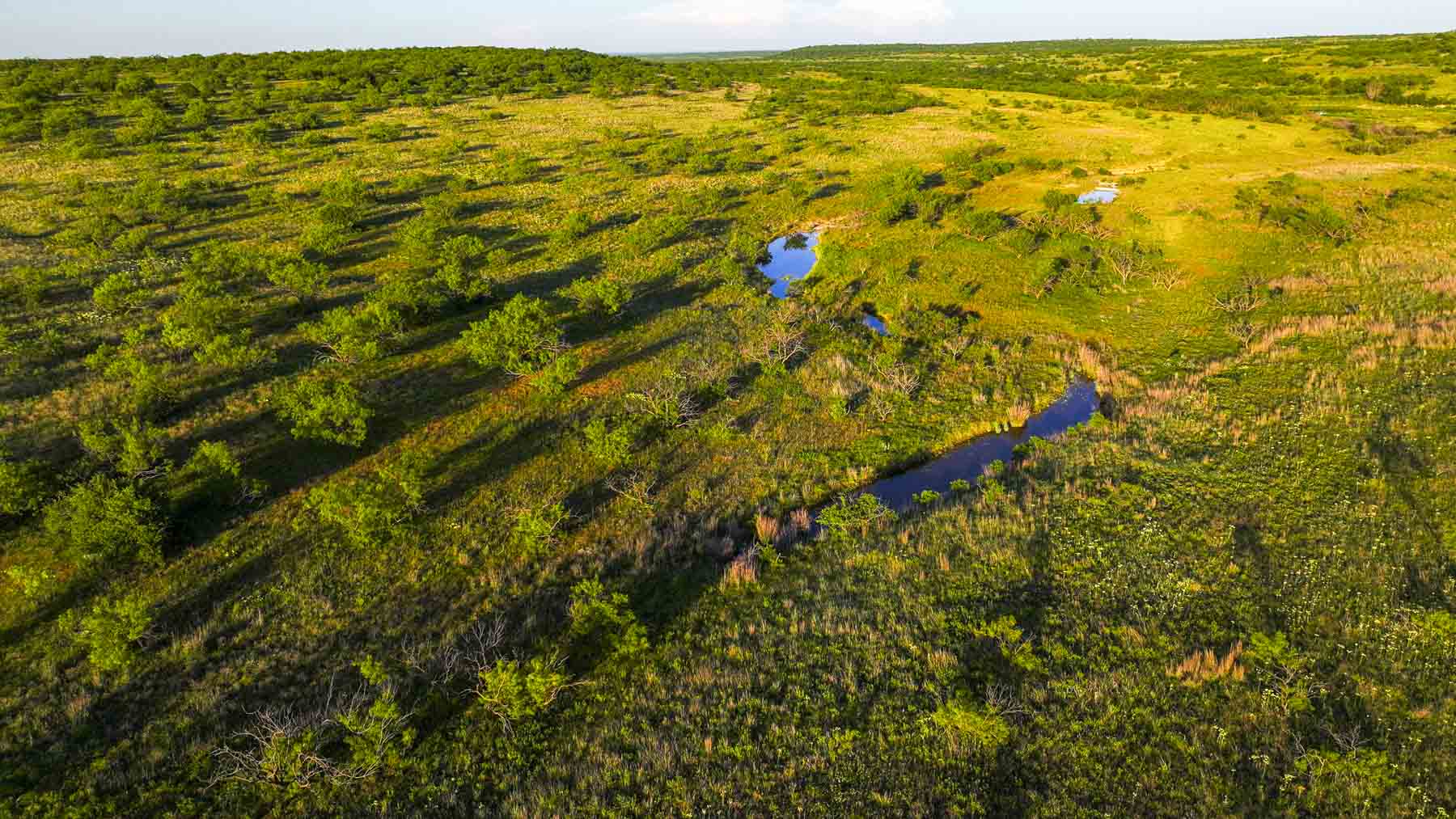 La Mariposa Ranch property picture 2 of 94