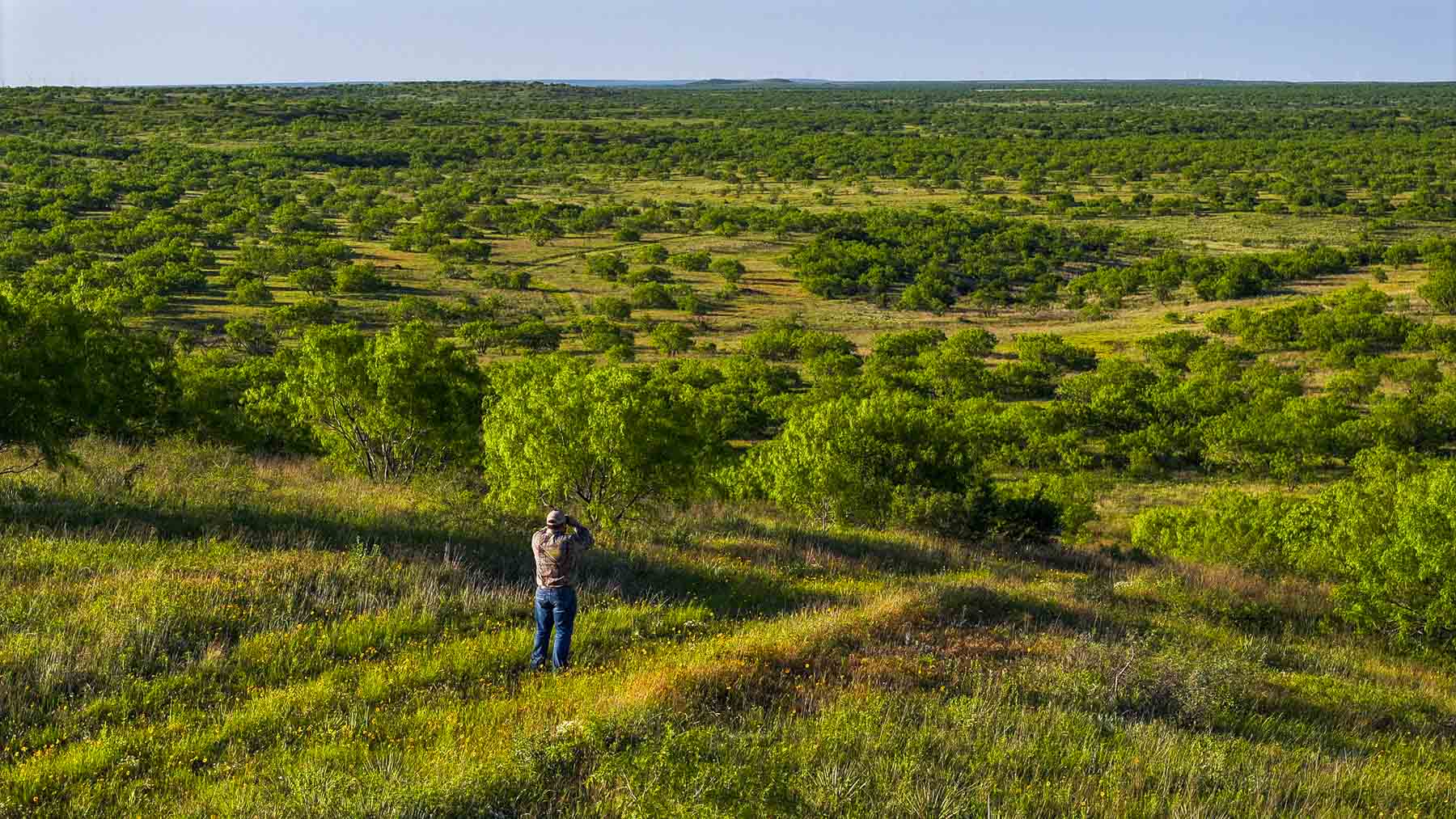 La Mariposa Ranch property picture 66 of 94