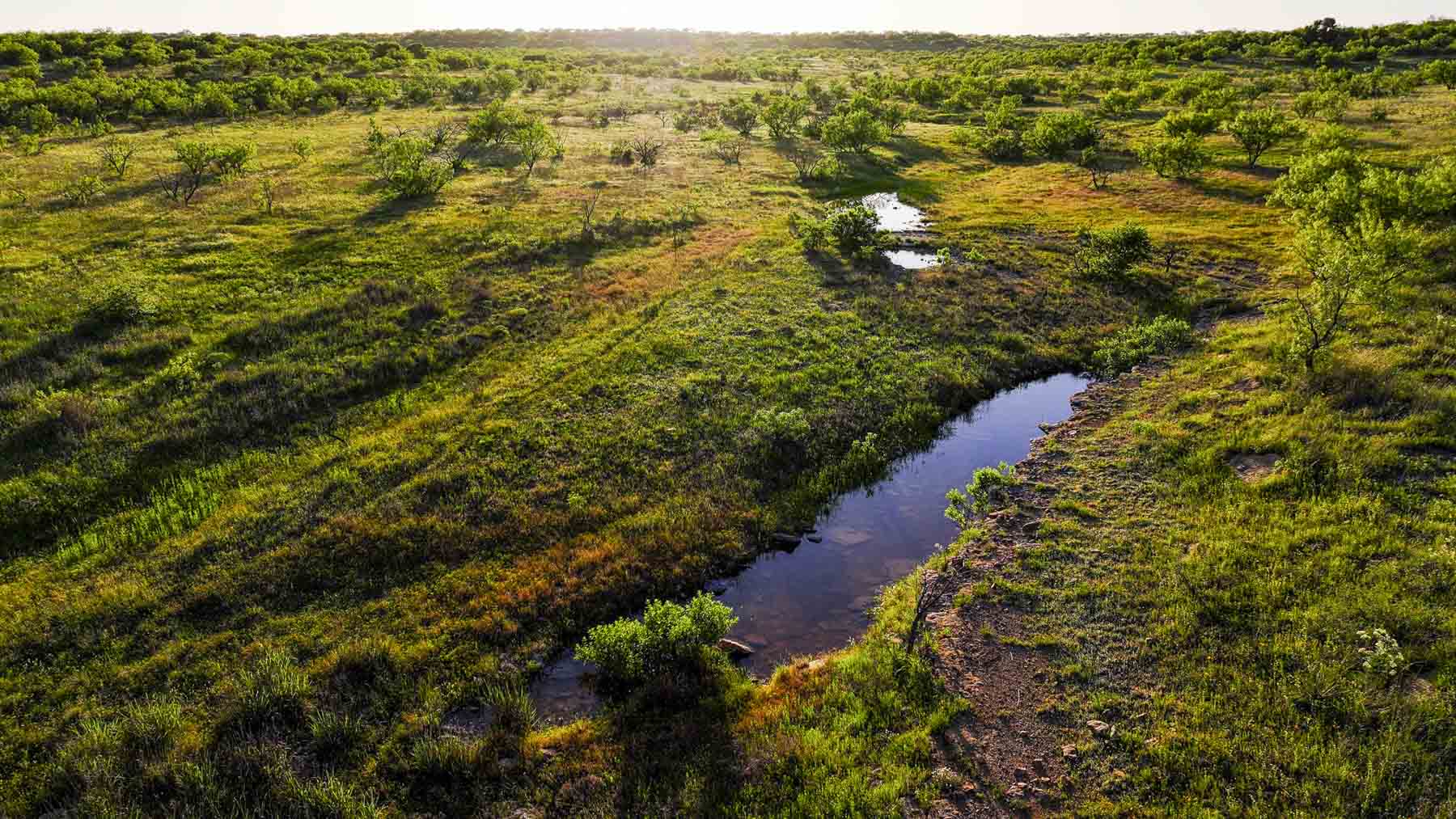 La Mariposa Ranch property picture 82 of 94