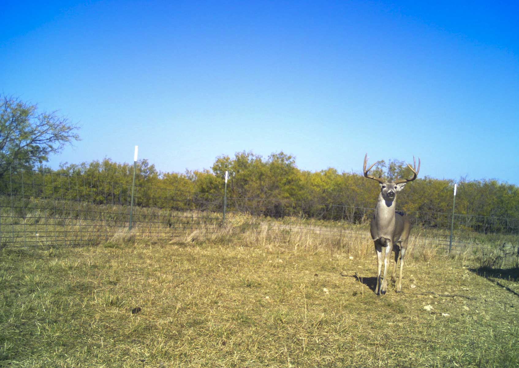 La Mariposa Ranch property picture 41 of 94