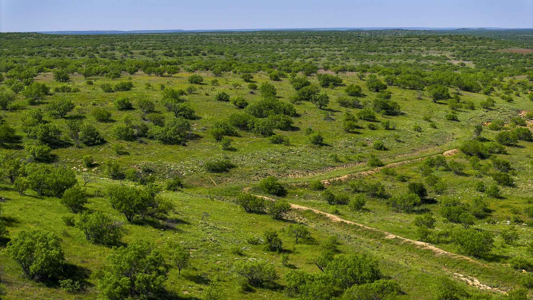 La Mariposa Ranch property picture 85 of 94