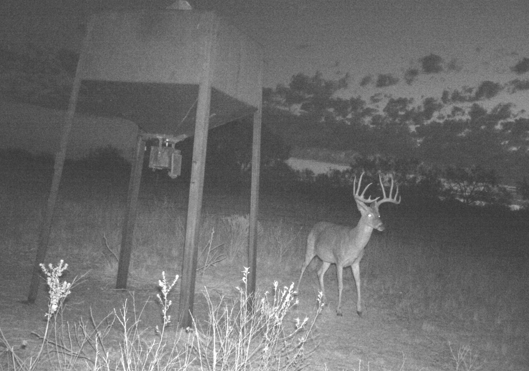 La Mariposa Ranch property picture 28 of 94