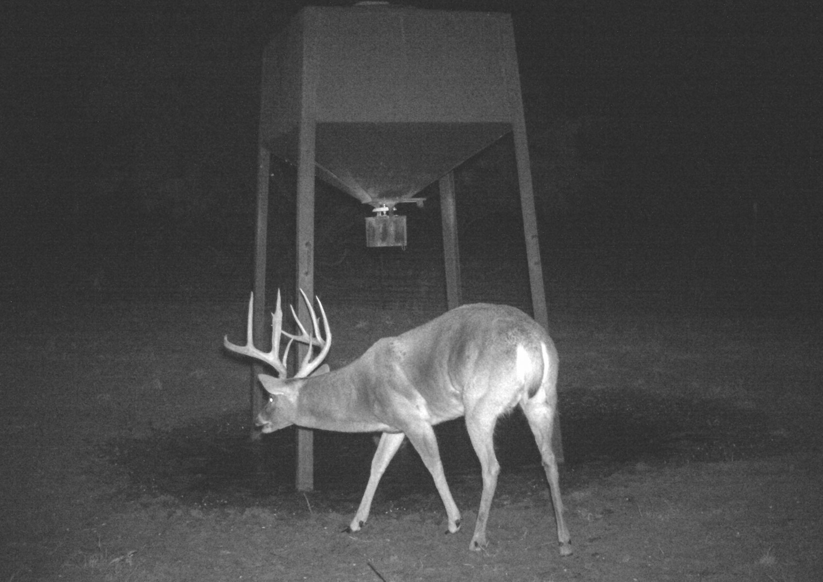 La Mariposa Ranch property picture 32 of 94