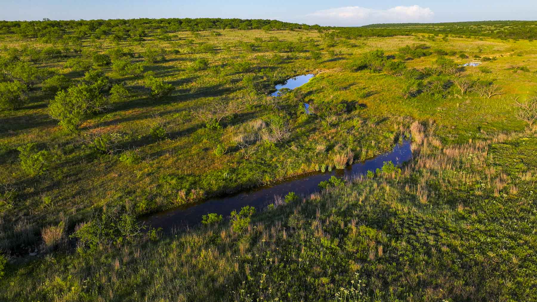 La Mariposa Ranch property picture 51 of 94