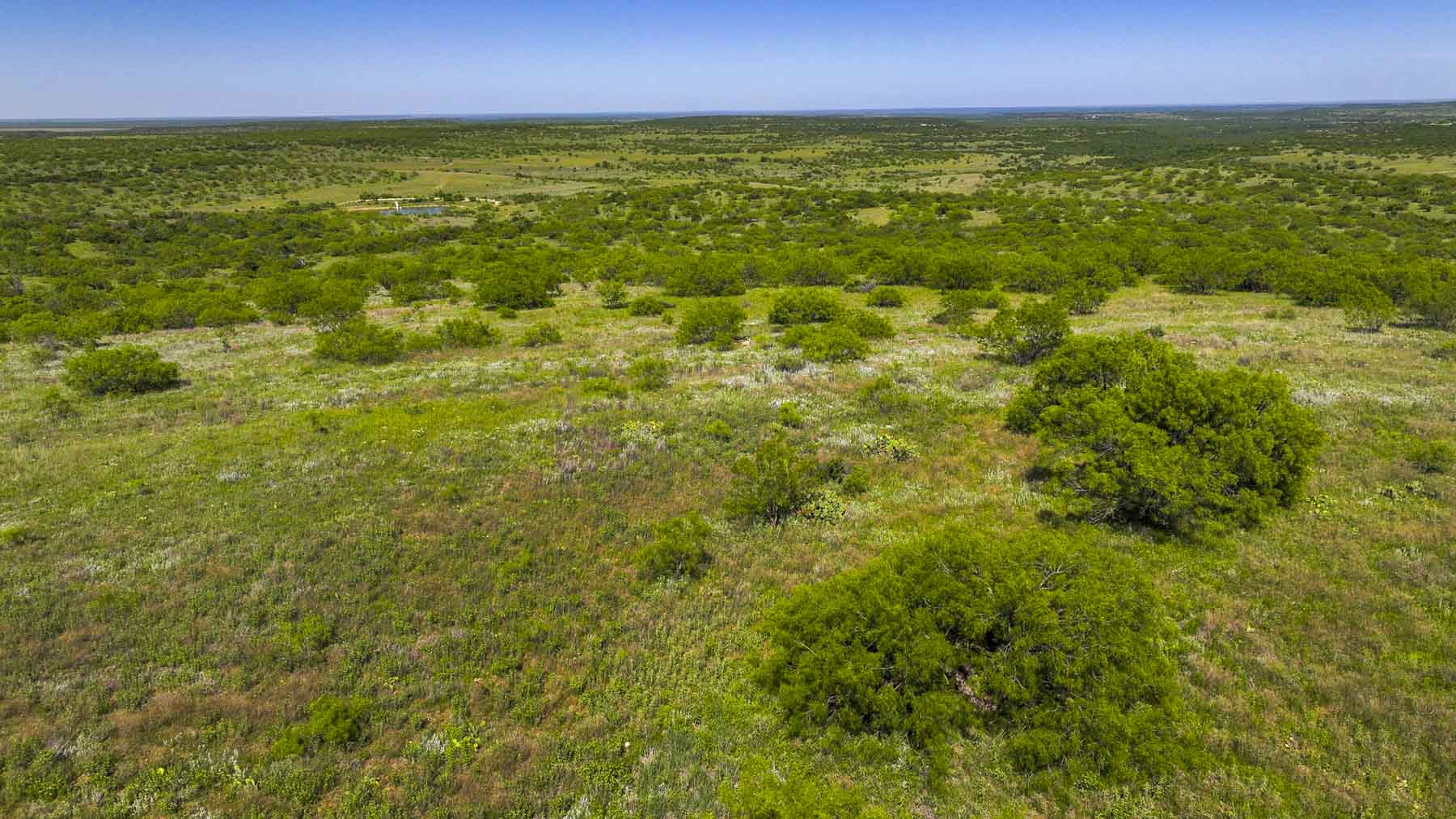 La Mariposa Ranch property picture 79 of 94