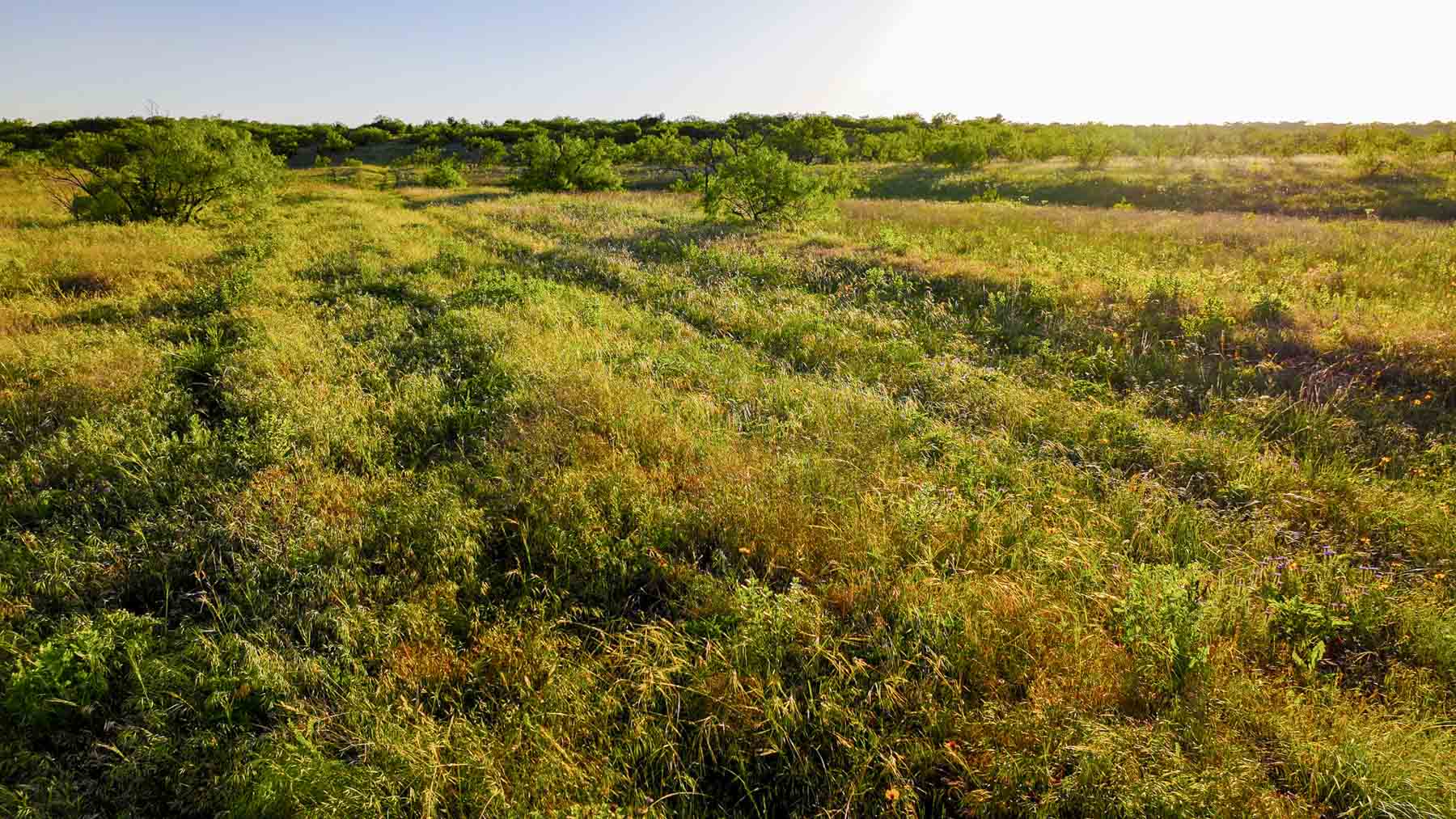 La Mariposa Ranch property picture 94 of 94