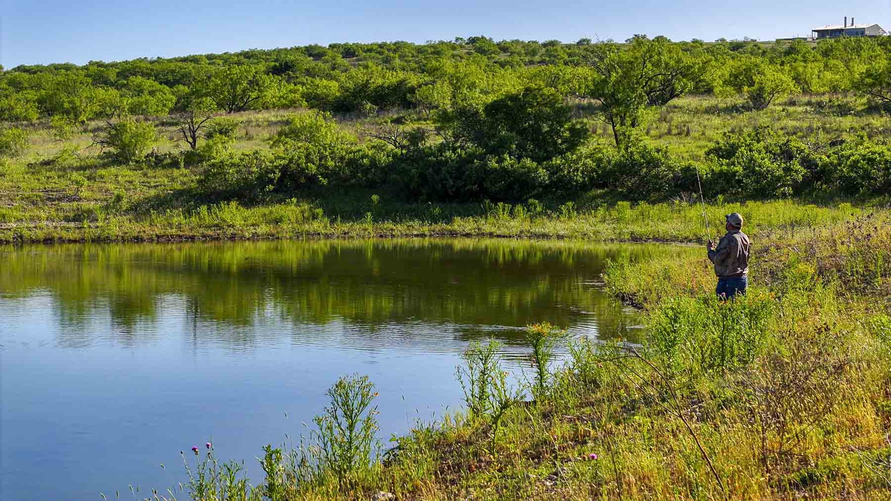 La Mariposa Ranch property picture 10 of 94