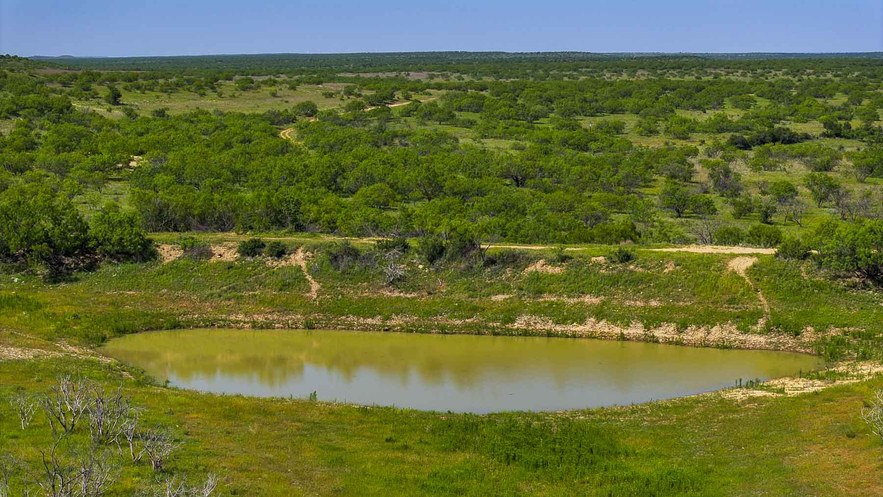 La Mariposa Ranch property picture 81 of 94