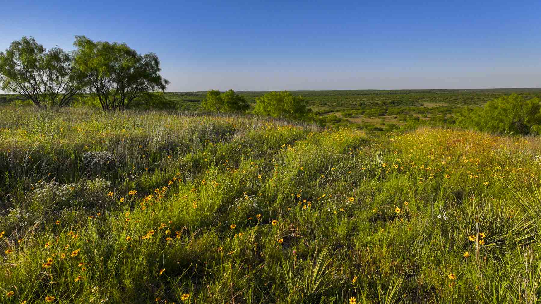 La Mariposa Ranch property picture 68 of 94