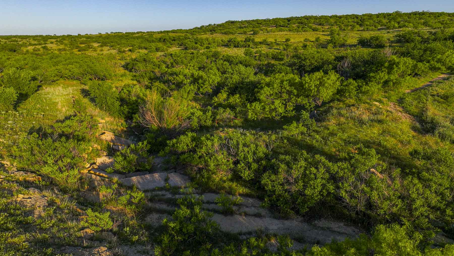 La Mariposa Ranch property picture 75 of 94