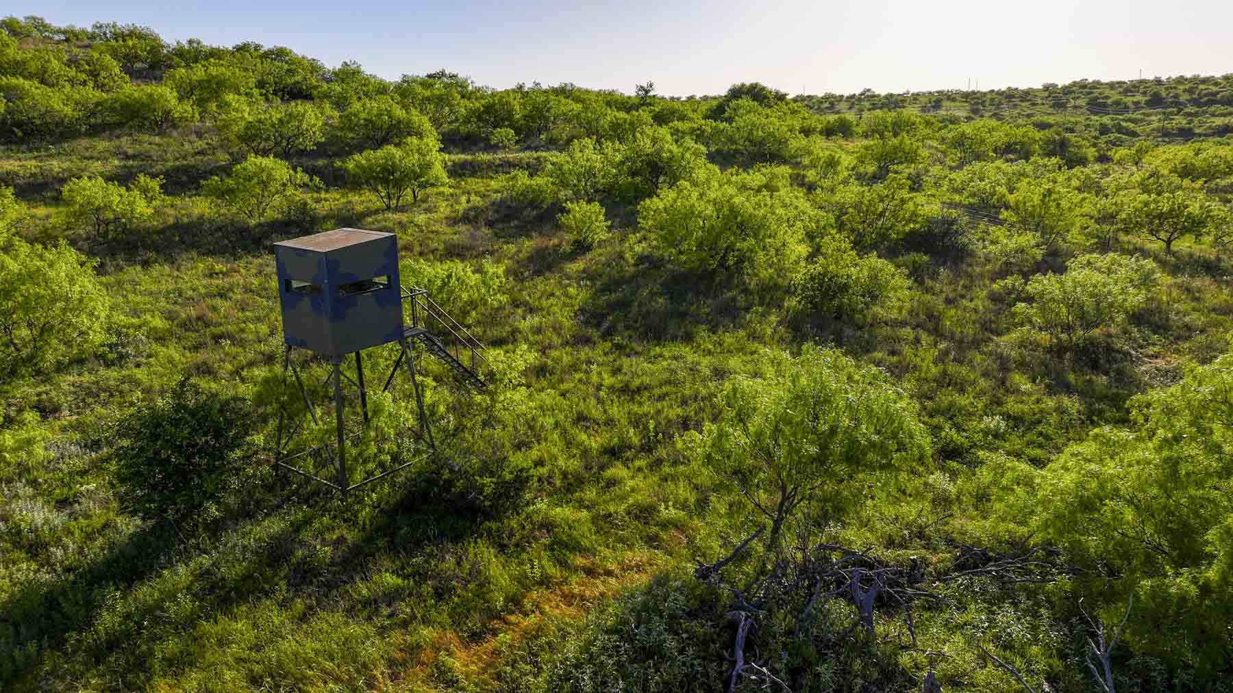 La Mariposa Ranch property picture 58 of 94