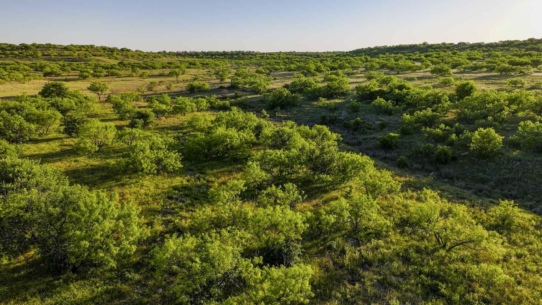 La Mariposa Ranch property picture 55 of 94