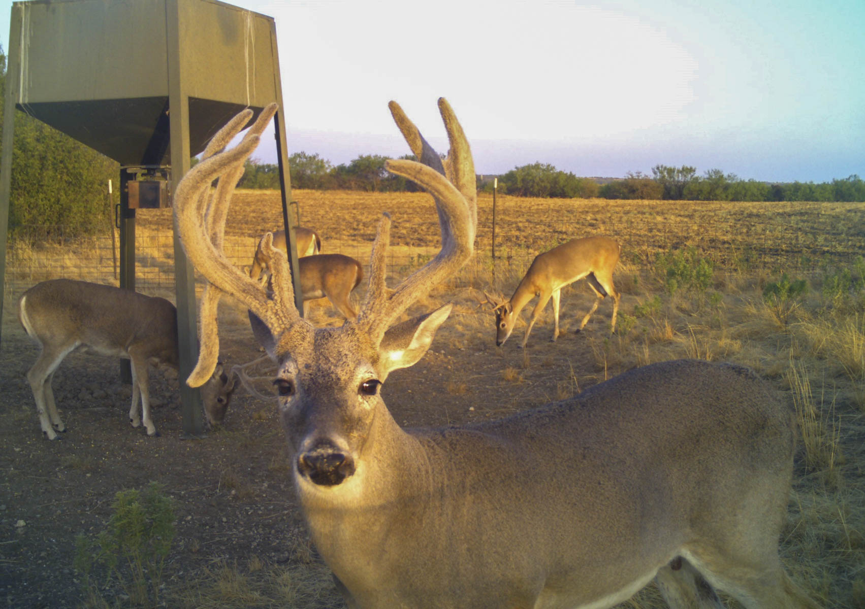 La Mariposa Ranch property picture 35 of 94