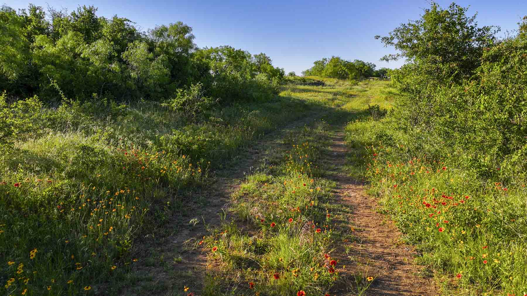 La Mariposa Ranch property picture 62 of 94
