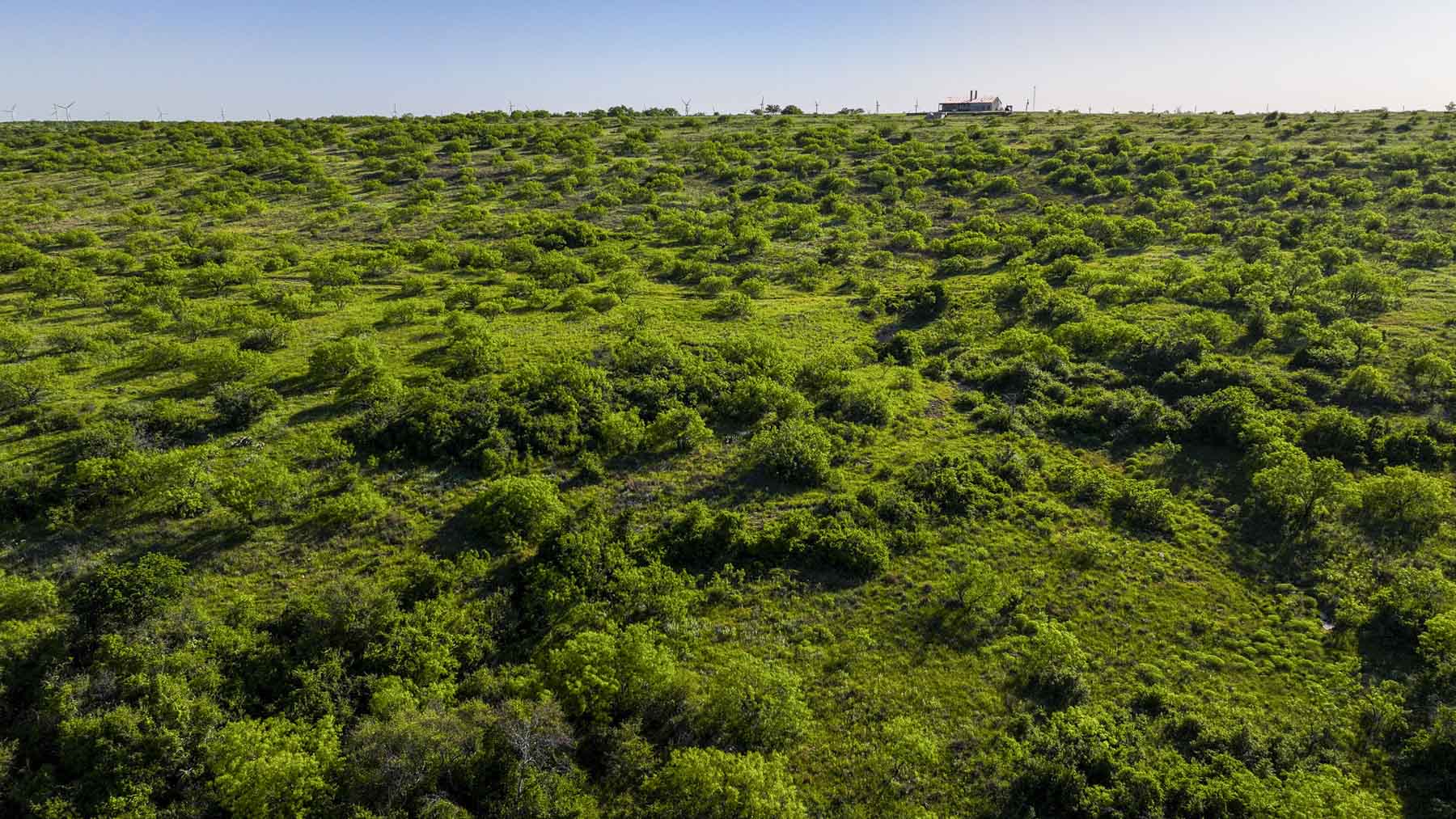 La Mariposa Ranch property picture 46 of 94