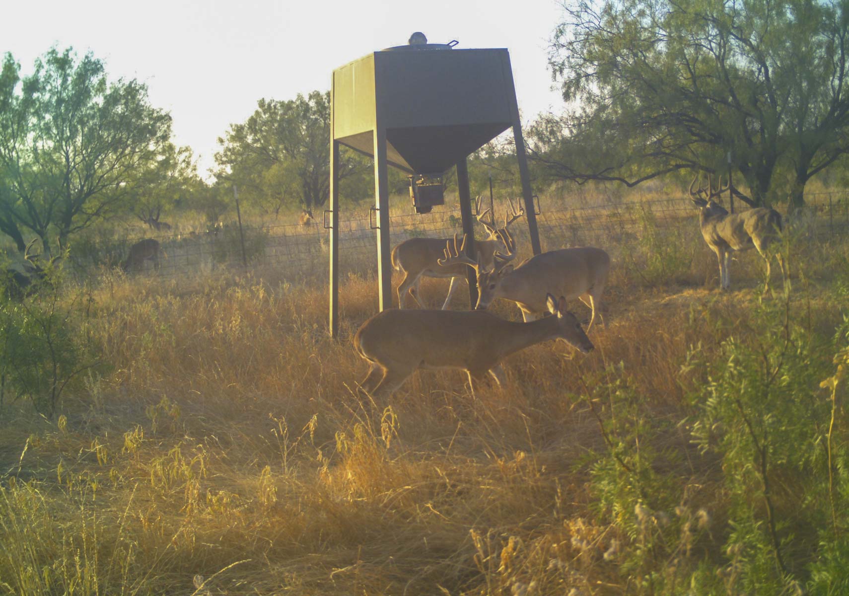 La Mariposa Ranch property picture 42 of 94