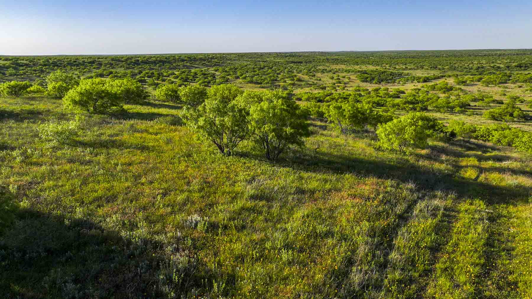 La Mariposa Ranch property picture 64 of 94