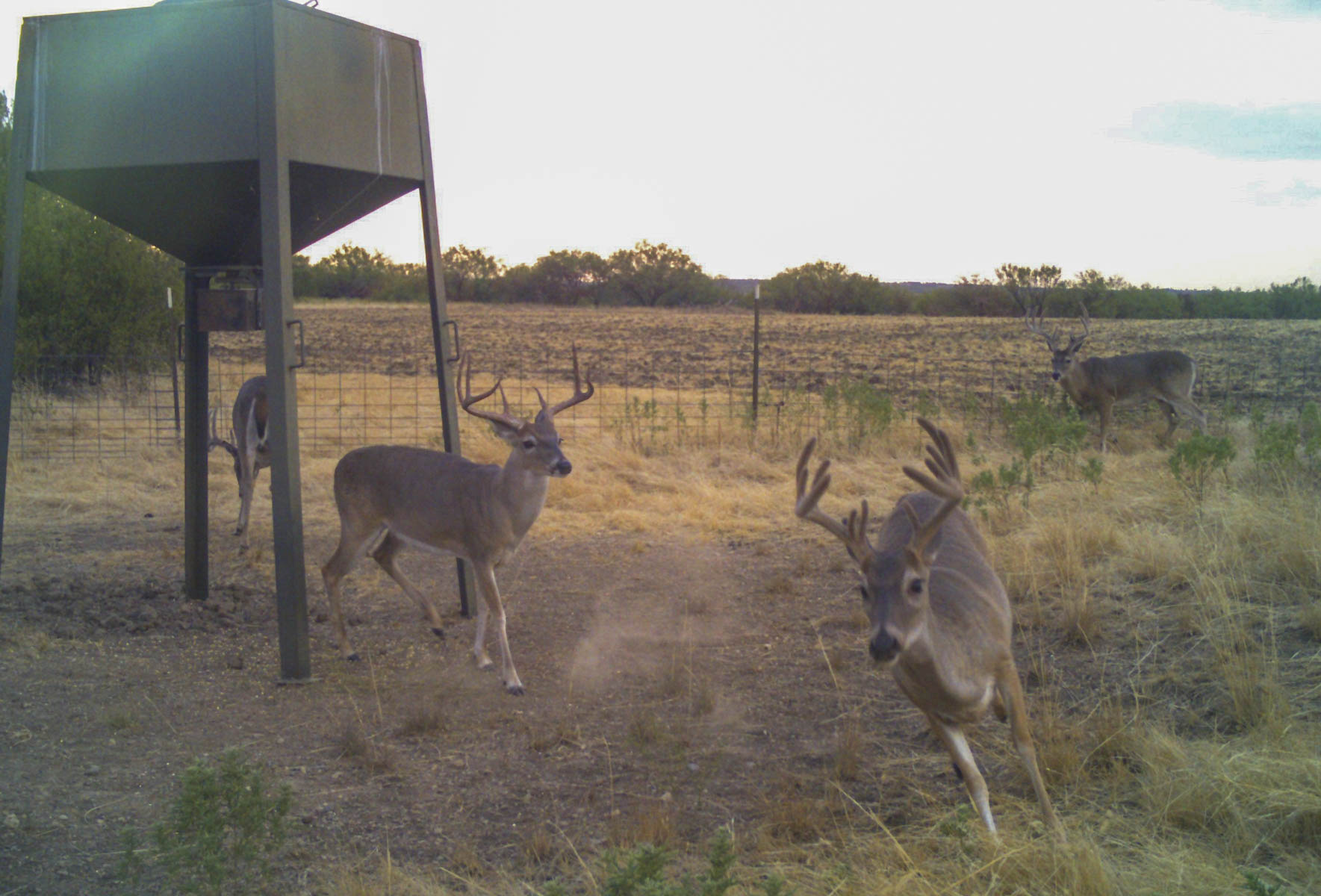 La Mariposa Ranch property picture 45 of 94