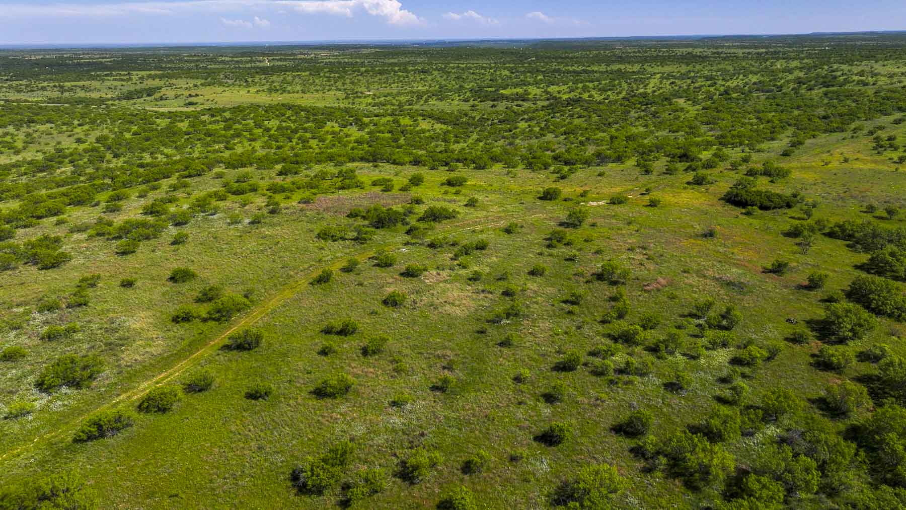 La Mariposa Ranch property picture 67 of 94