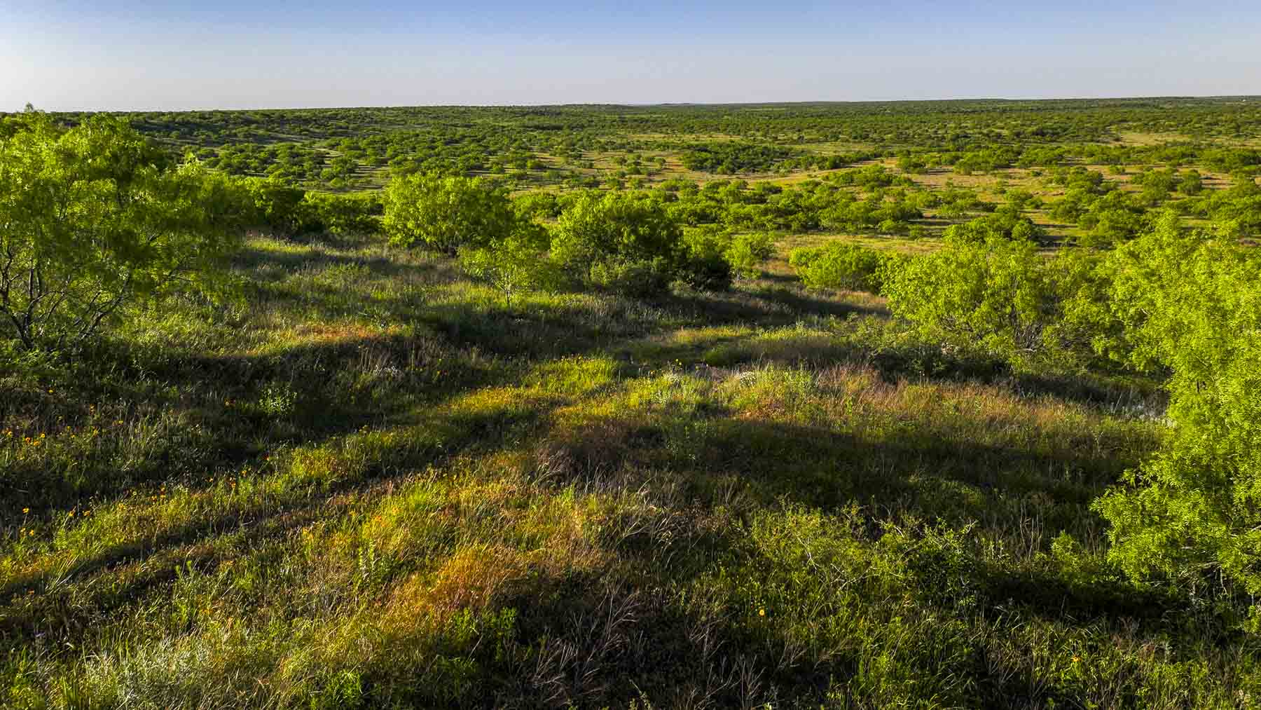 La Mariposa Ranch property picture 8 of 94