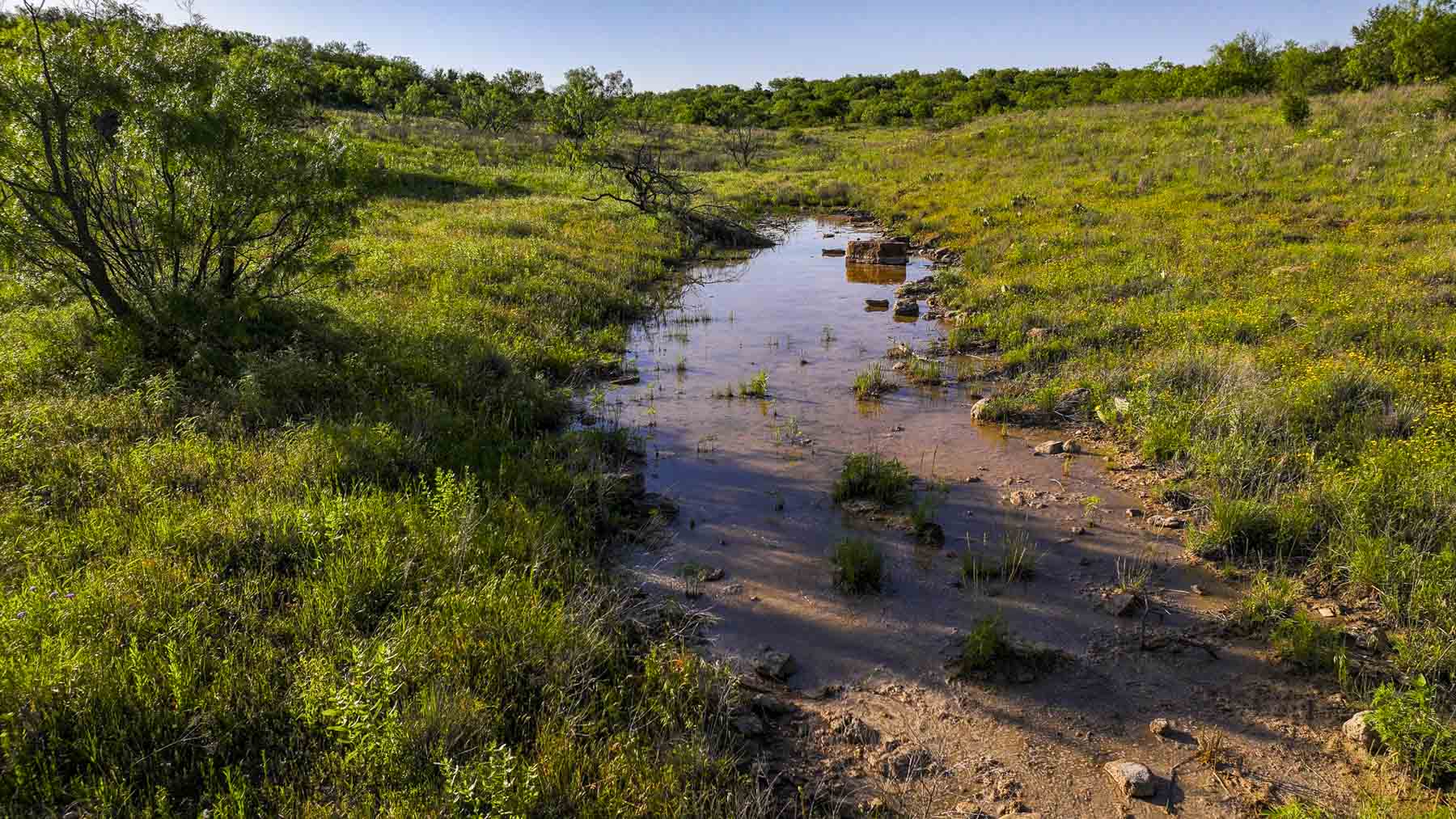 La Mariposa Ranch property picture 56 of 94
