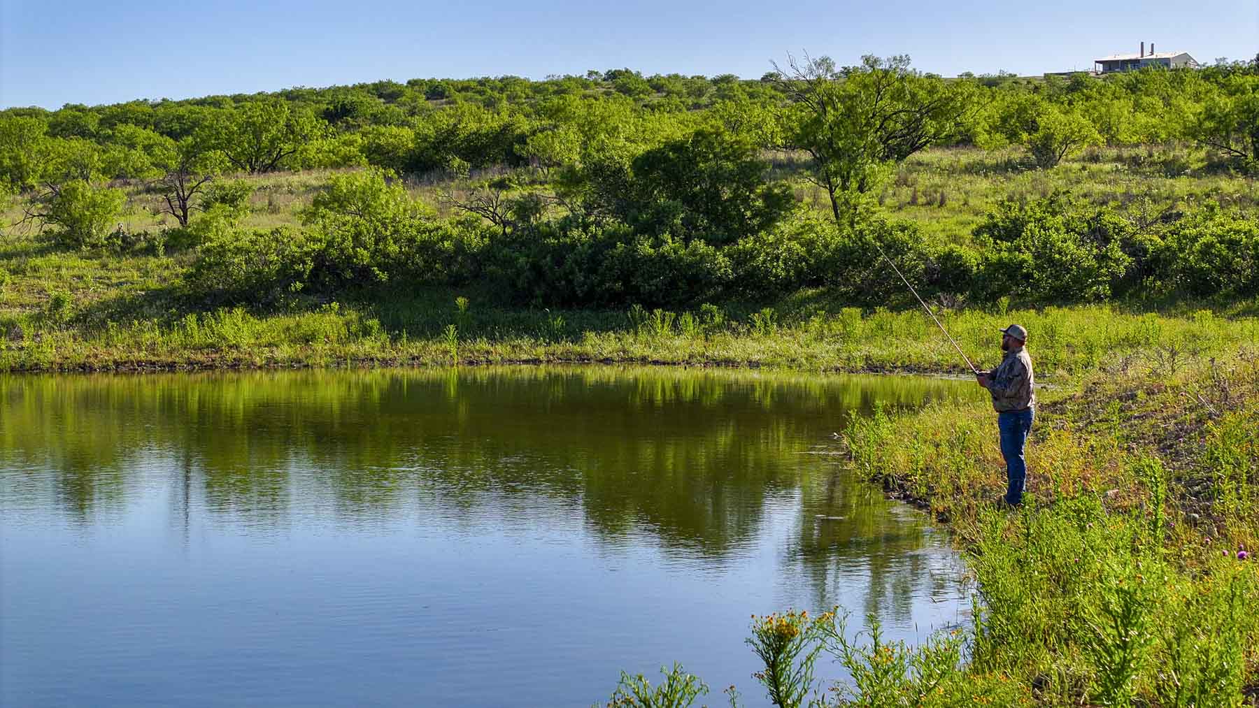 La Mariposa Ranch property picture 90 of 94